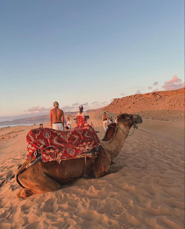 Guest gallery image 13