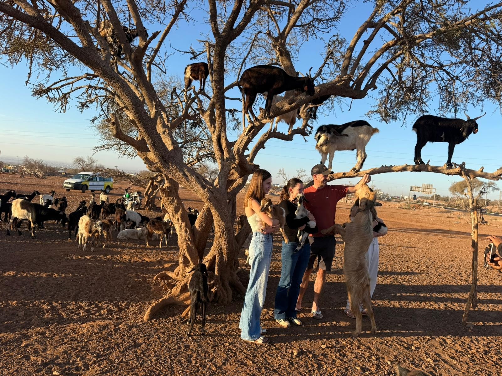 Guest gallery image 8